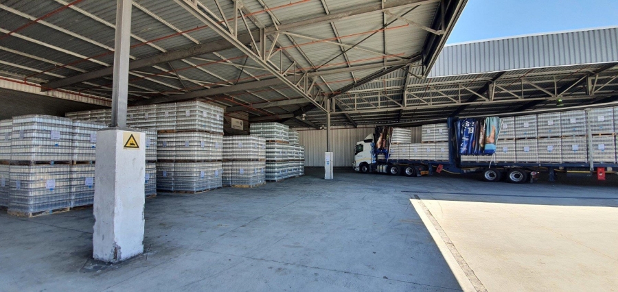 To Let commercial Property for Rent in Parow Industrial Western Cape